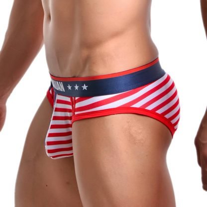 Printed striped men's underwear