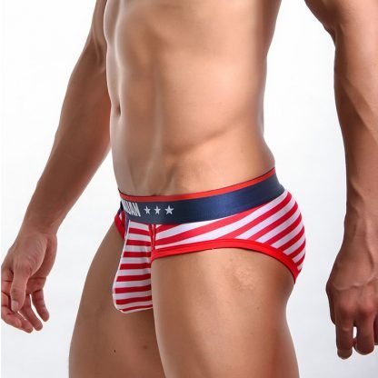 Printed striped men's underwear