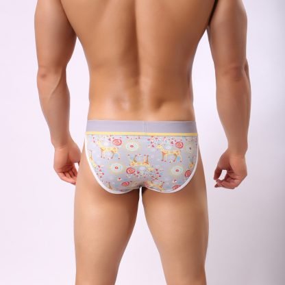 Howe ray christmas colorful elk men's briefs