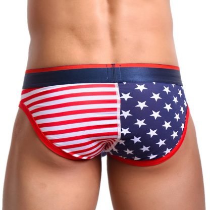 Printed striped men's underwear